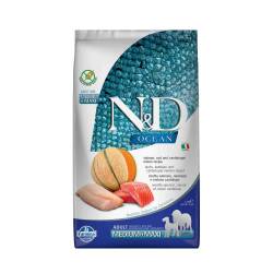 N&D Ocean Morina Balıklı Bal Kabaklı ve Kavunlu Orta ve Büyük Irk Tahılsız Yavru Köpek Maması 2,5 kg - N&D