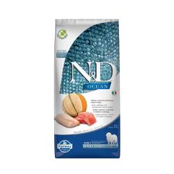 N&D Ocean Somon ve Morina Balıklı Kavunlu Giant Maxi Yetişkin Köpek Maması 12 kg - N&D