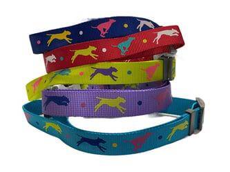 Nunbell Desenli Köpek Boyun Tasması 40-60 Cm - 1