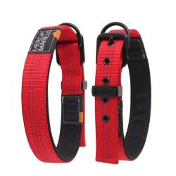 Nunbell Desenli Köpek Boyun Tasması Siyah 32-40 Cm - Nunbell