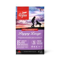 Orijen Puppy Large Tahılsız Büyük Irk Yavru Köpek Maması 11,4 kg - Orijen