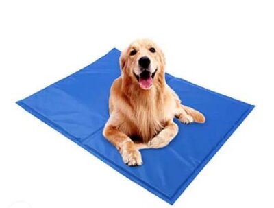 Pawise Serinletici Mat Md 65 x 50 Cm - 2