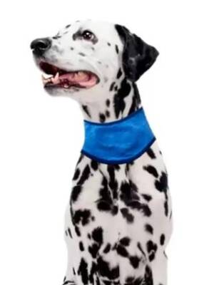 Pawise Soğutucu Köpek Bandanası XL 53-62 Cm - 2