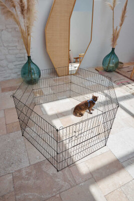 Pet Pretty Kedi ve Köpekler İçin Tel Bahçe Oyun Alanı 60 x 54 Cm