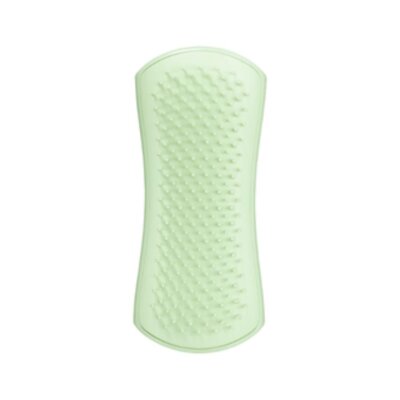 Pet Teezer Yavru Köpekler İçin Yeşil Hassas Bakım Fırçası - 3