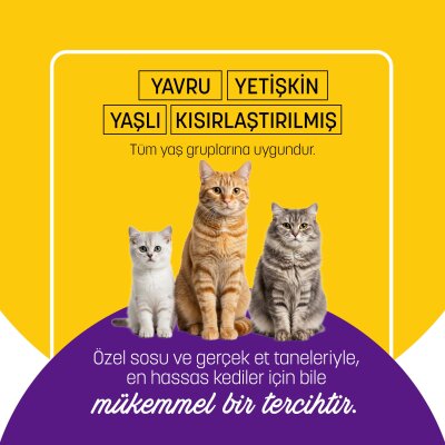 PetzzCats Lezzetli Sos İçinde Taze Fileto Ton Balıklı ve Midyeli Konserve Kedi Maması 85 Gr 12 Adet - 5