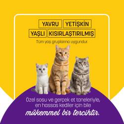 PetzzCats Lezzetli Sos İçinde Taze Fileto Ton Balıklı ve Midyeli Konserve Kedi Maması 85 Gr 6 Adet - 5