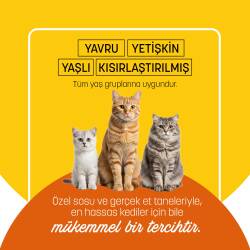 PetzzCats Tavuk Etli Konserve Kedi Maması 85 Gr - 5