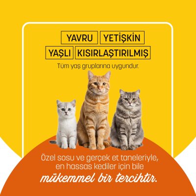 PetzzCats Tavuk Etli Konserve Kedi Maması 85 Gr - 5