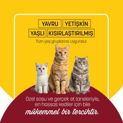 PetzzCats Tavuk & Kalamar Konserve Kedi Maması 85 Gr - 5
