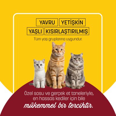 PetzzCats Tavuk & Kalamar Konserve Kedi Maması 85 Gr - 5