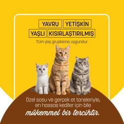 PetzzCats Tavuk & Karides Konserve Kedi Maması 85 Gr - 5