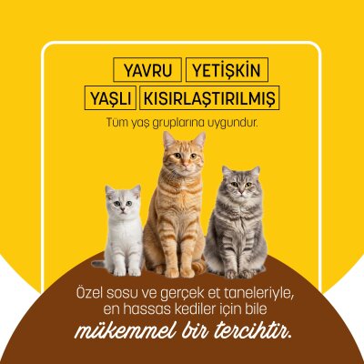 PetzzCats Tavuk & Karides Konserve Kedi Maması 85 Gr - 5