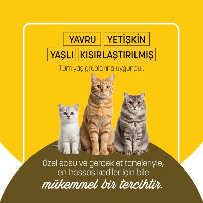 PetzzCats Tavuk & Midye Konserve Kedi Maması 85 Gr 24 Adet - 5
