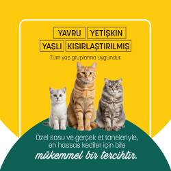 PetzzCats Ton Balığı & Kalamar Konserve Kedi Maması 85 Gr 24 Adet - 5