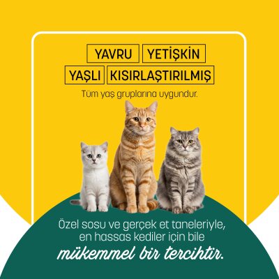 PetzzCats Ton Balığı & Kalamar Konserve Kedi Maması 85 Gr 24 Adet - 5