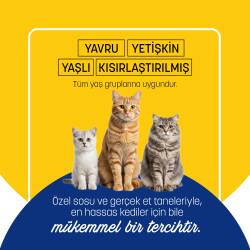 PetzzCats Ton Balığı & Karides Konserve Kedi Maması 85 Gr 12 Adet - 5