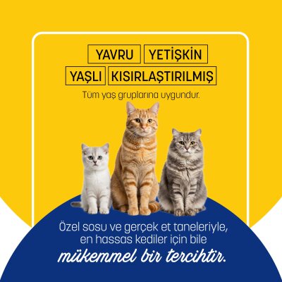 PetzzCats Ton Balığı & Karides Konserve Kedi Maması 85 Gr - 5