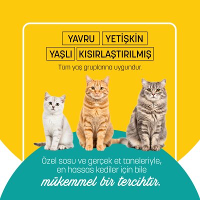 PetzzCats Ton Balığı Konserve Kedi Maması 85 Gr - 5