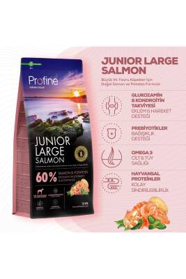 Profine Glutensiz Somonlu Büyük Irk Yavru Köpek Maması 12 kg - 2