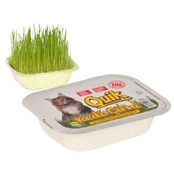 Quik Fileli Doğal Kedi Çimi - Quik