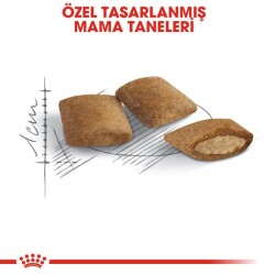 Royal Canin Ageing +12 Yaş Yaşlı Kedi Maması 2 kg - 4