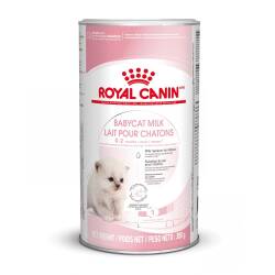 Royal Canin Babycat Milk Yavru Kedi Süt Tozu 300 gr - Royal Canin