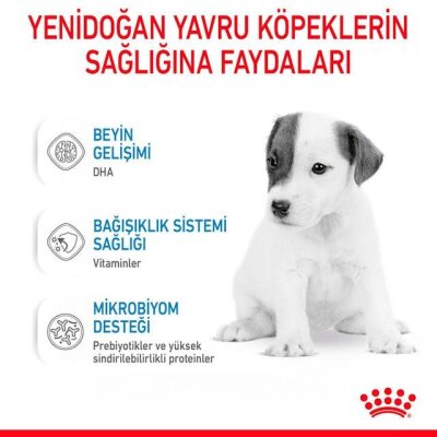 Royal Canin Babydog Milk Yavru Köpek Süt Tozu Kiti 400 gr - 3