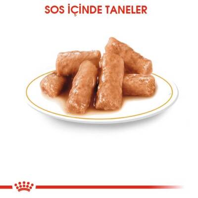 Royal Canin British Shorthair Pouch Yetişkin Kedi Konservesi 85 gr - 3