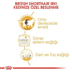 Royal Canin British Shorthair Pouch Yetişkin Kedi Konservesi 85 gr - 4