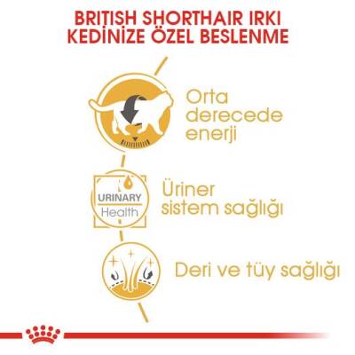 Royal Canin British Shorthair Pouch Yetişkin Kedi Konservesi 85 gr - 4