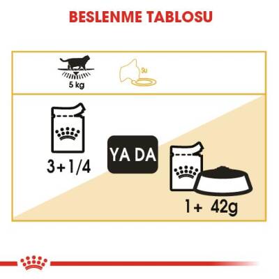 Royal Canin British Shorthair Pouch Yetişkin Kedi Konservesi 85 gr - 5