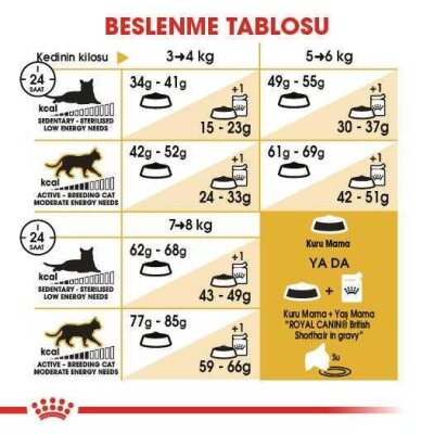 Royal Canin British Shorthair İçin Özel Irk Yetişkin Kedi Maması 400 gr - 2