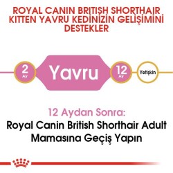 Royal Canin British Shorthair İçin Özel Yavru Kedi Maması 2 kg - 5