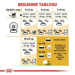 Royal Canin British Shorthair İçin Özel Yavru Kedi Maması 2 kg - 4