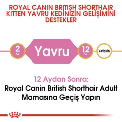 Royal Canin British Shorthair İçin Özel Yavru Kedi Maması 2 kg - 5