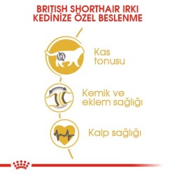 Royal Canin British Shorthair İçin Özel Irk Yetişkin Kedi Maması 10 kg - 4
