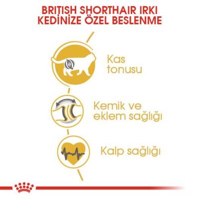 Royal Canin British Shorthair İçin Özel Irk Yetişkin Kedi Maması 2 kg - 5