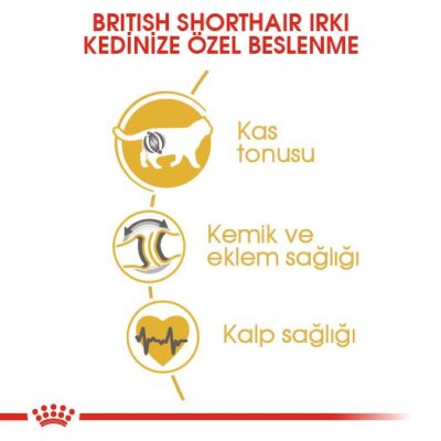 Royal Canin British Shorthair İçin Özel Irk Yetişkin Kedi Maması 2 kg - 5