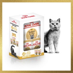 Royal Canin British Shorthair İçin Özel Irk Yetişkin Kedi Maması 2 kg + 2 Adet Pouch Hediyeli