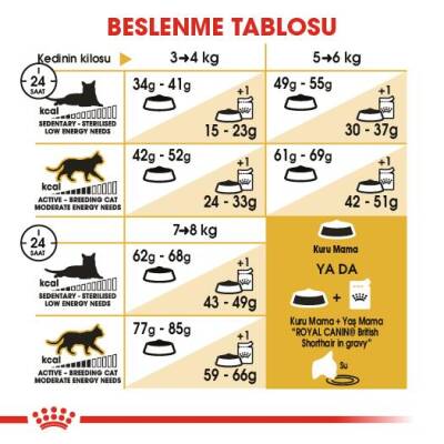 Royal Canin British Shorthair İçin Özel Irk Yetişkin Kedi Maması 4 kg - 2