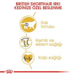 Royal Canin British Shorthair İçin Özel Irk Yetişkin Kedi Maması 4 kg - 4
