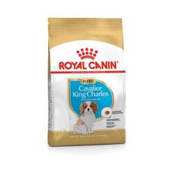 Royal Canin Cavalier King Charles Yavru Köpek Maması 1,5 Kg - Royal Canin
