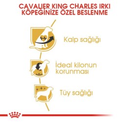 Royal Canin Cavalier King Charles Yetişkin Köpek Maması 1,5 kg - 2