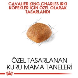 Royal Canin Cavalier King Charles Yetişkin Köpek Maması 1,5 kg - 4