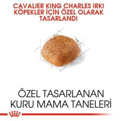 Royal Canin Cavalier King Charles Yetişkin Köpek Maması 1,5 kg - 4