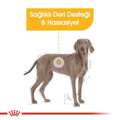 Royal Canin CCN Dermacomfort Maxi Büyük Irk Yetişkin Köpek Maması 12 kg - 2