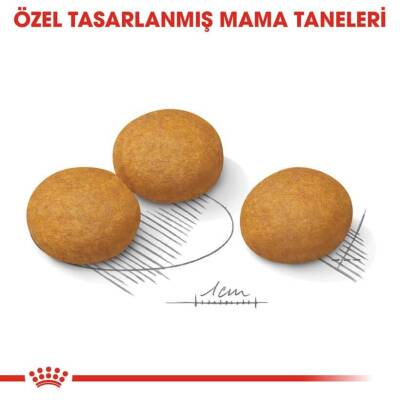 Royal Canin CCN Dermacomfort Medium Orta Irk Yetişkin Köpek Maması 12 kg - 2