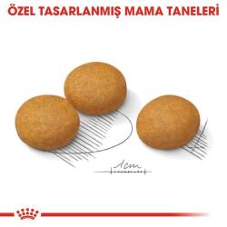 Royal Canin CCN Dermacomfort Medium Orta Irk Yetişkin Köpek Maması 12 kg - 3