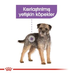 Royal Canin CCN Kısırlaştırılmış Mini Irk Yetişkin Köpek Maması 3 kg - 2